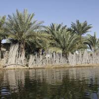 تالاب شادگان 